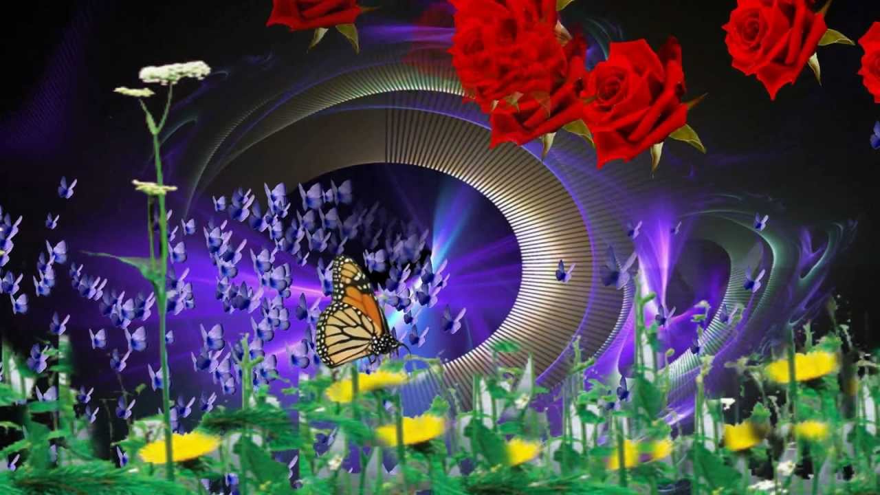 Mariposa - Danyel Gerard