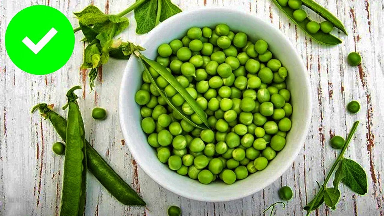 Come 5 arvejas al día y mira lo que sucede | Beneficios de la arveja para tu salud | Chícharos
