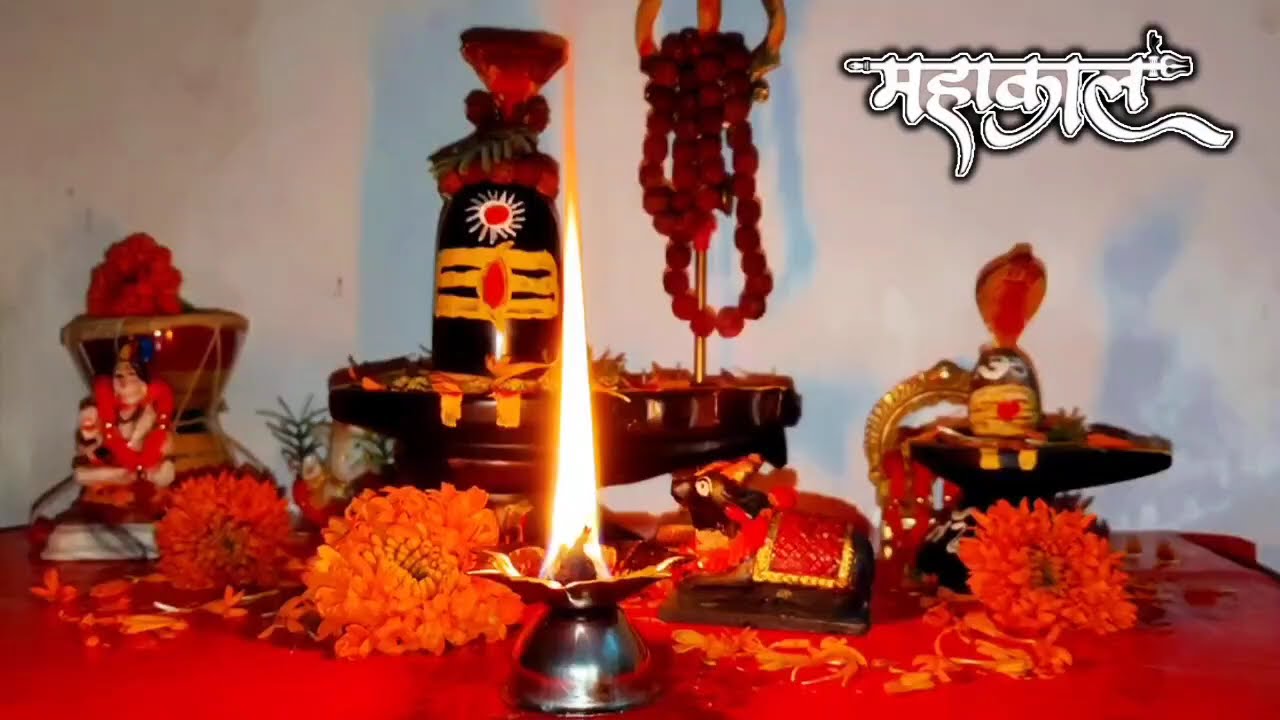 11 फरवरी फाल्गुन बुधवार द्वादशी तिथि के दिन 11 गेंहू के दाने वाला उपाय जरुर करे,#panditpradeepmishra