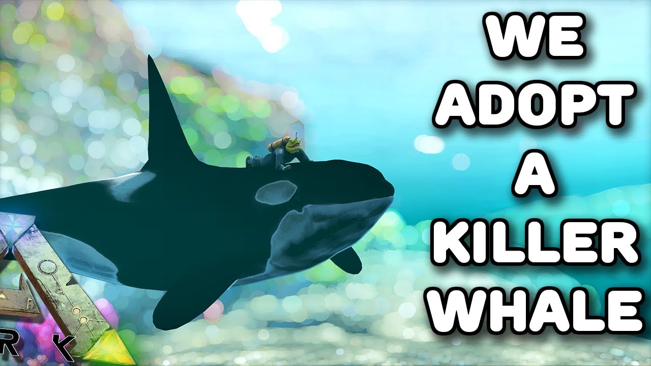 WE ADOPT A BABY KILLER WHALE | ARK: MYTHICAL BEASTS [S3 E21]