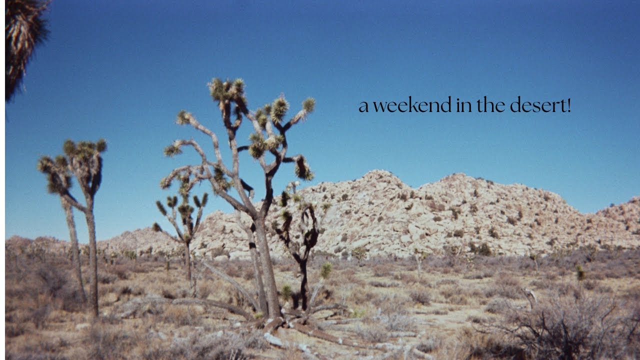 a trip to joshua tree!