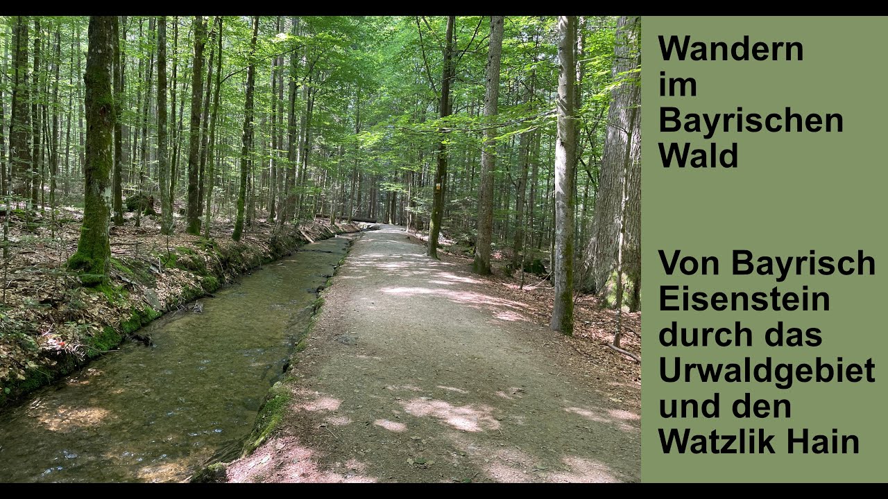 Bayrischer Wald – Von Bayrisch Eisenstein durch das Urwaldgebiet und den Watzlik Hain