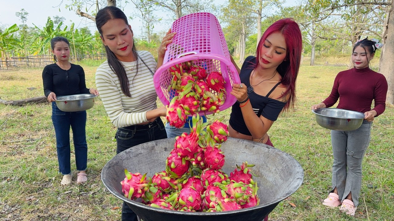 Amazing cooking dragon fruit jelly recipe