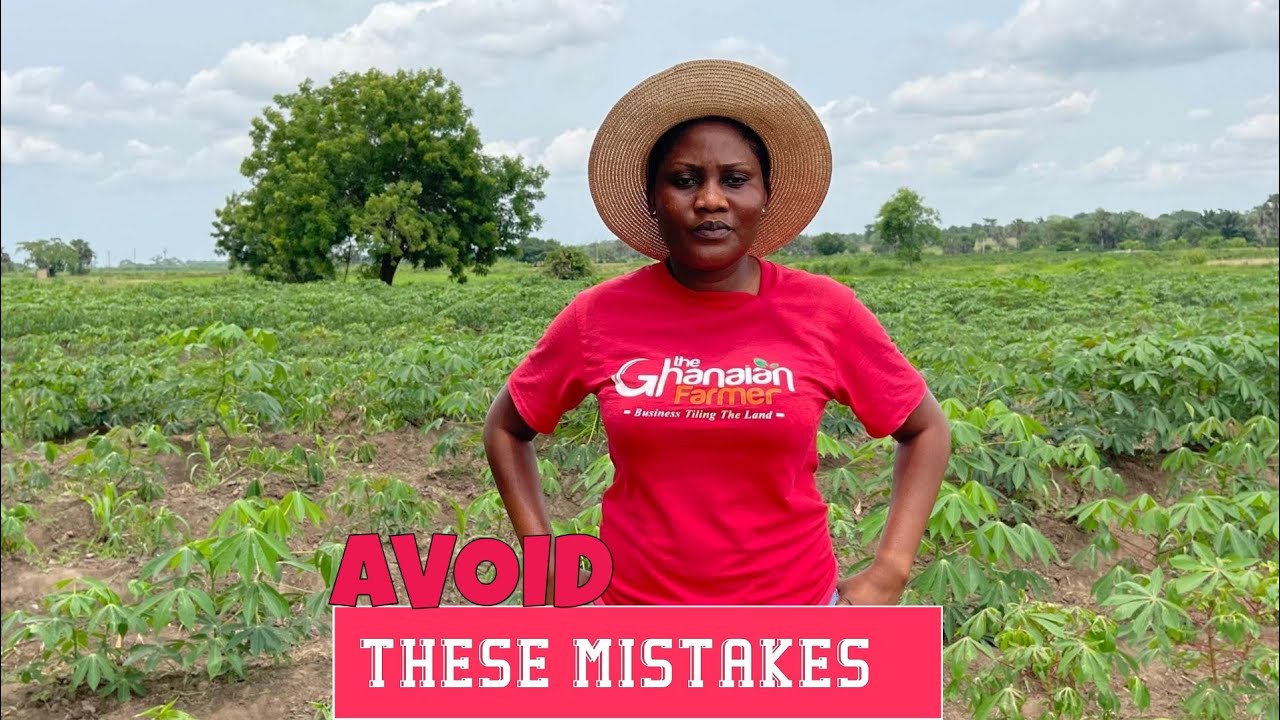 Why You Will Fail Farming In Ghana If You Don’t AVOID These Mistakes | Step By Step Tips