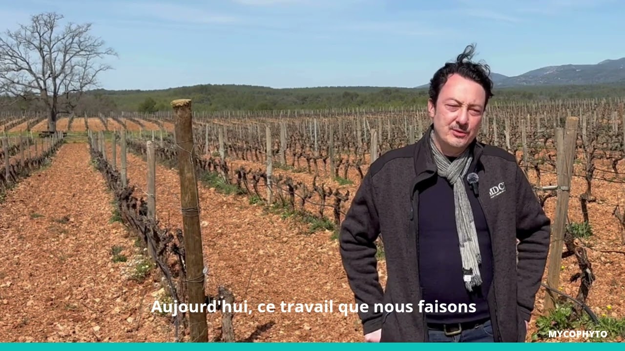 MYCOPHYTO Stories X Château de Berne
