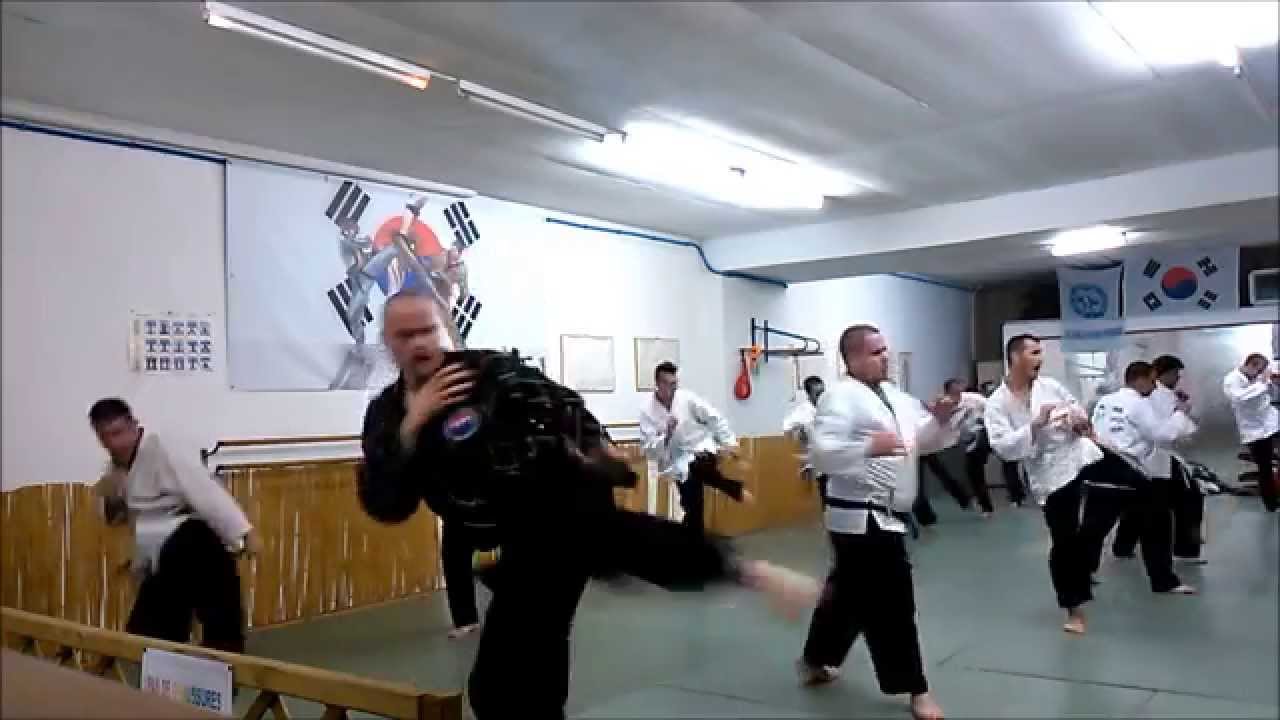 HOSHIN MOOSOOL HENSIES - SELF DEFENSE & COMBAT - HAPKIDO - TAEKWONDO - BOXING - BY COQUYT SEBASTIEN