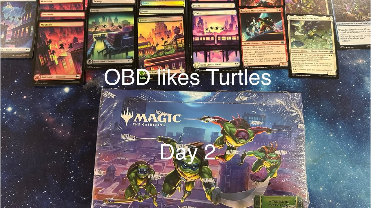 OBD likes Turtles : Day 2