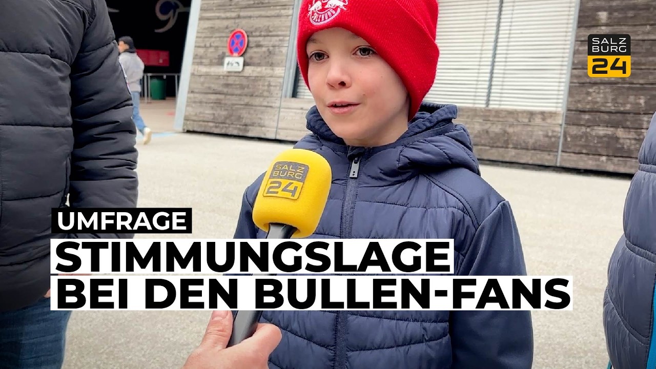 Meinungsumfrage: Stimmungslage bei den Bullen-Fans