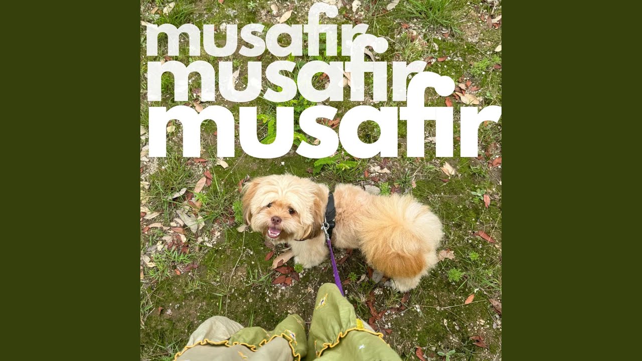 Musafir
