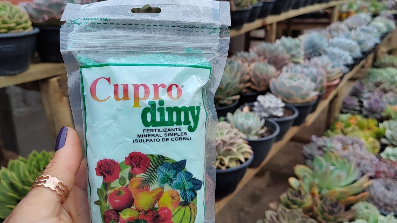 qual e como aplico sulfato de cobre nas minhas plantas