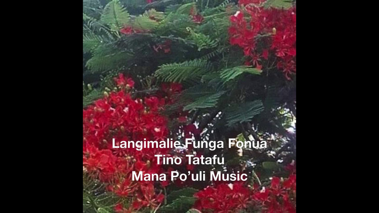 Langimalie Funga Fonua