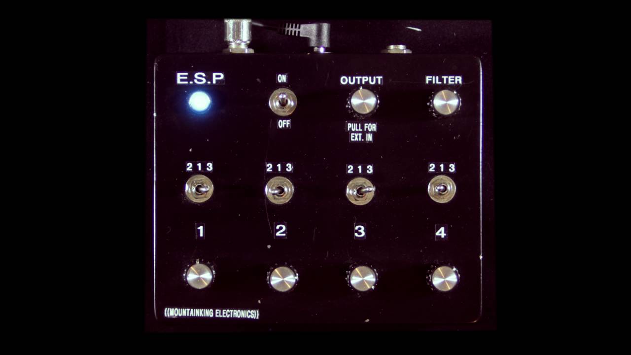 MOUNTAINKING ELECTRONICS E.S.P. DEMO 1