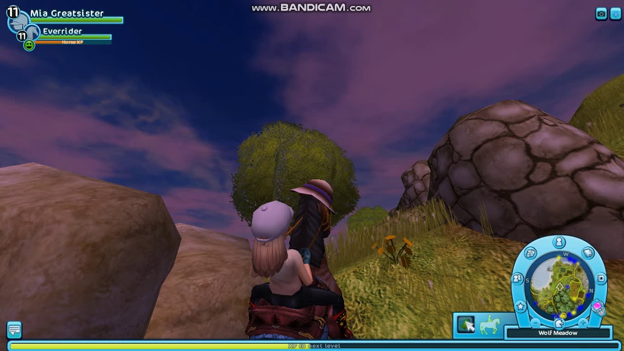 Star stable online getting lost trying to find a quest that I'M NOT ALLOWED TO DO .