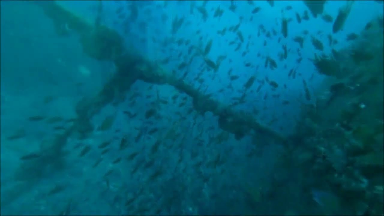 HTMS Chang Wreck Dive - November, 2025