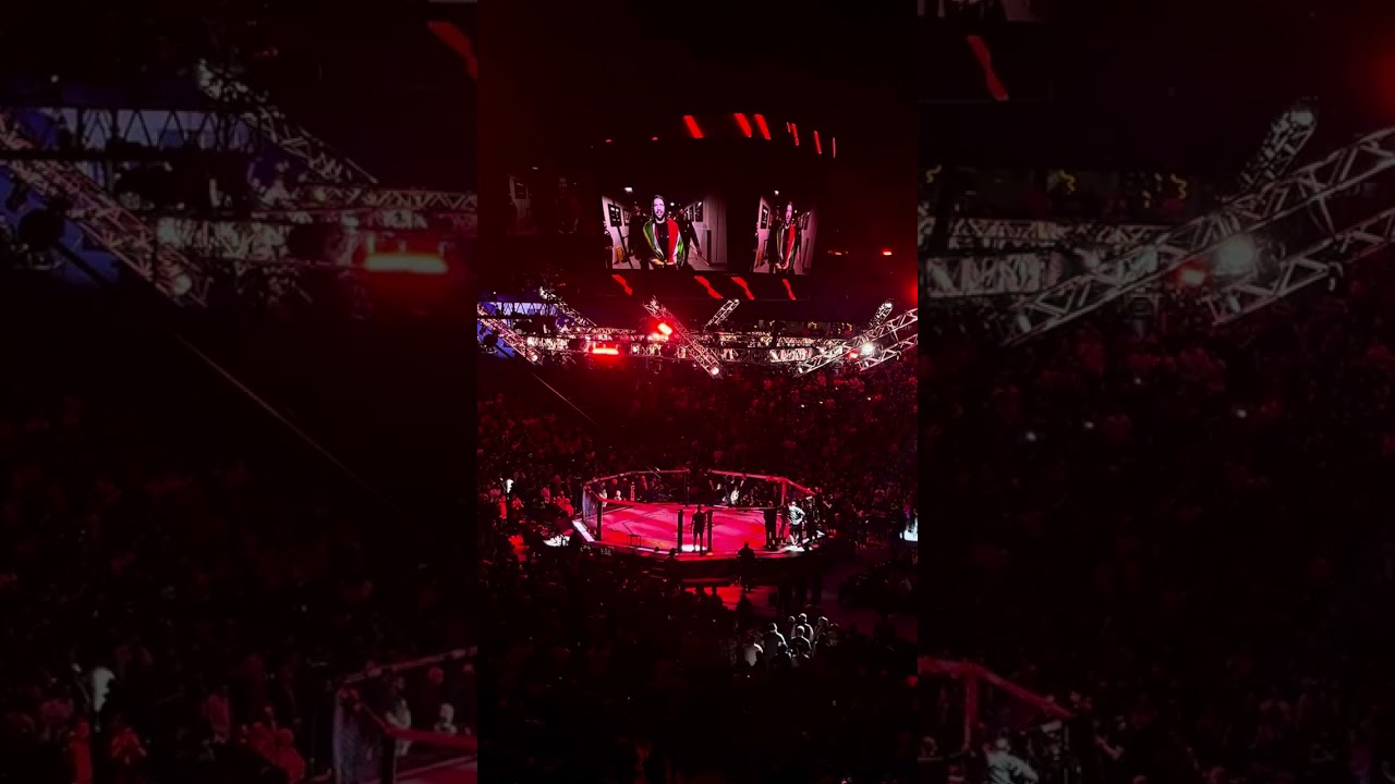 Dricus Du Plessis Walkout UFC 305