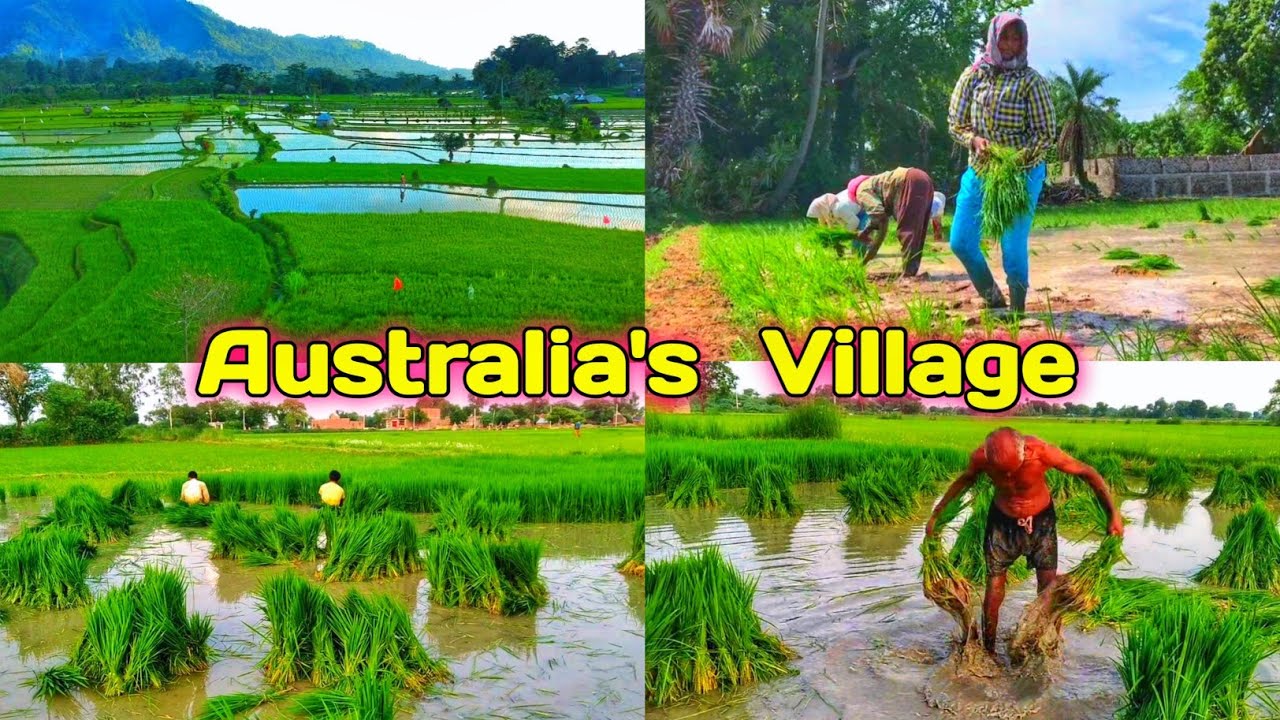 Australia’s 🇦🇺 Real Village || Australia Village Life || Aus Natural Scenery