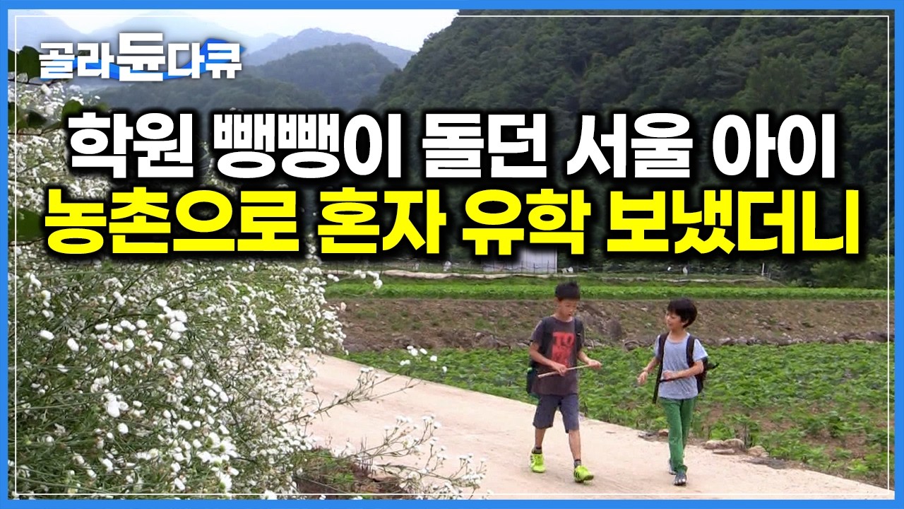 하루 5개 학원 뺑뺑이 돌던 서울 아이, 혼자 시골 학교 보냈더니 찾아온 놀라운 변화｜자연 속에서 경쟁 대신 인생을 배우는 도시 아이들｜농촌유학｜하나뿐인 지구｜#골라듄다큐