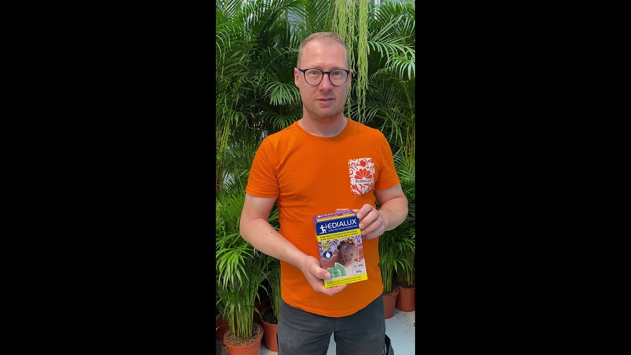 Ratten en muizen bestrijden