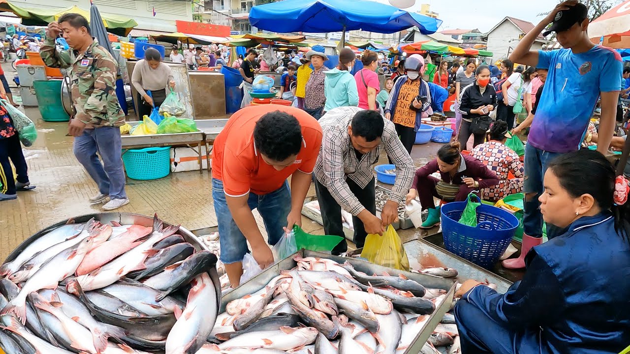 The Biggest Fish Market Distribution Site - Vendors Popular Place For Fish Distribution & Seafood