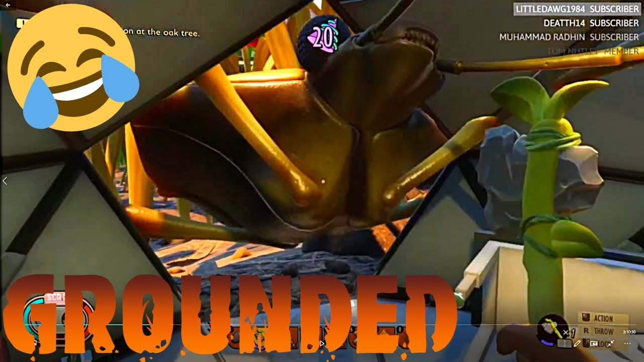 Learning GROUNDED - FUNNY MOMENTS Compilation