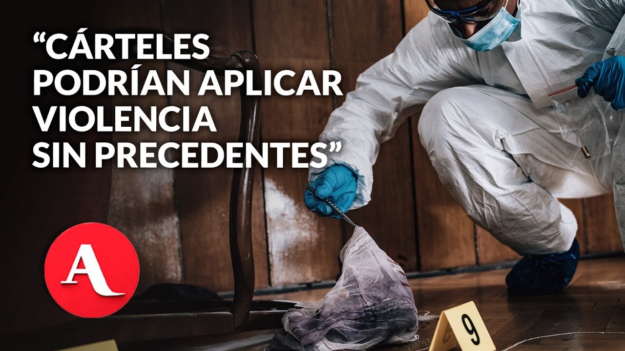 Presión de Trump a Sheinbaum provocaría que los cárteles empiecen a asesinar funcionarios: Buscaglia