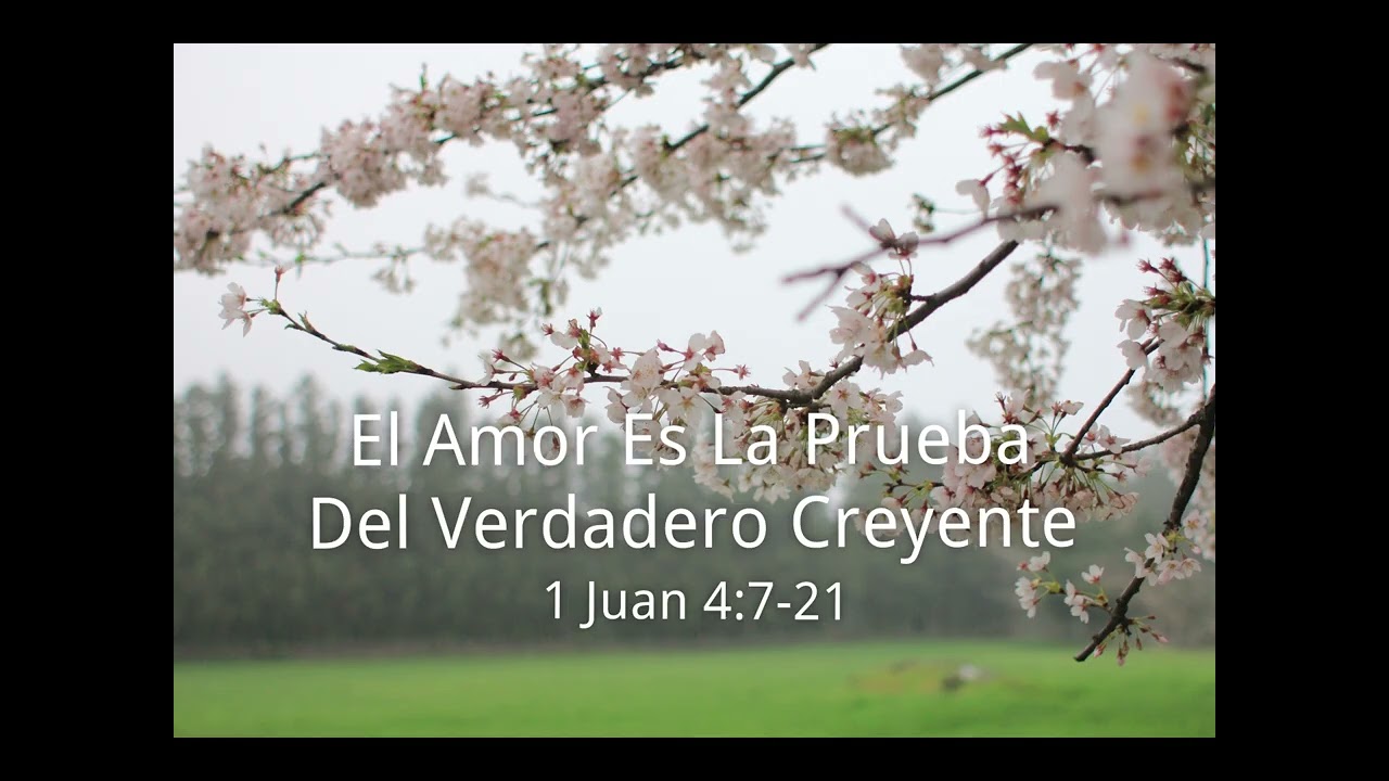 1 Juan 4:7-21 | El Amor es la Prueba del Verdadero Creyente | UCB
