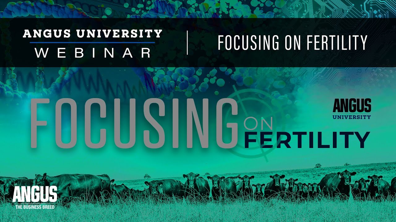 Focusing on Fertility | WEBINAR - October 27, 2020