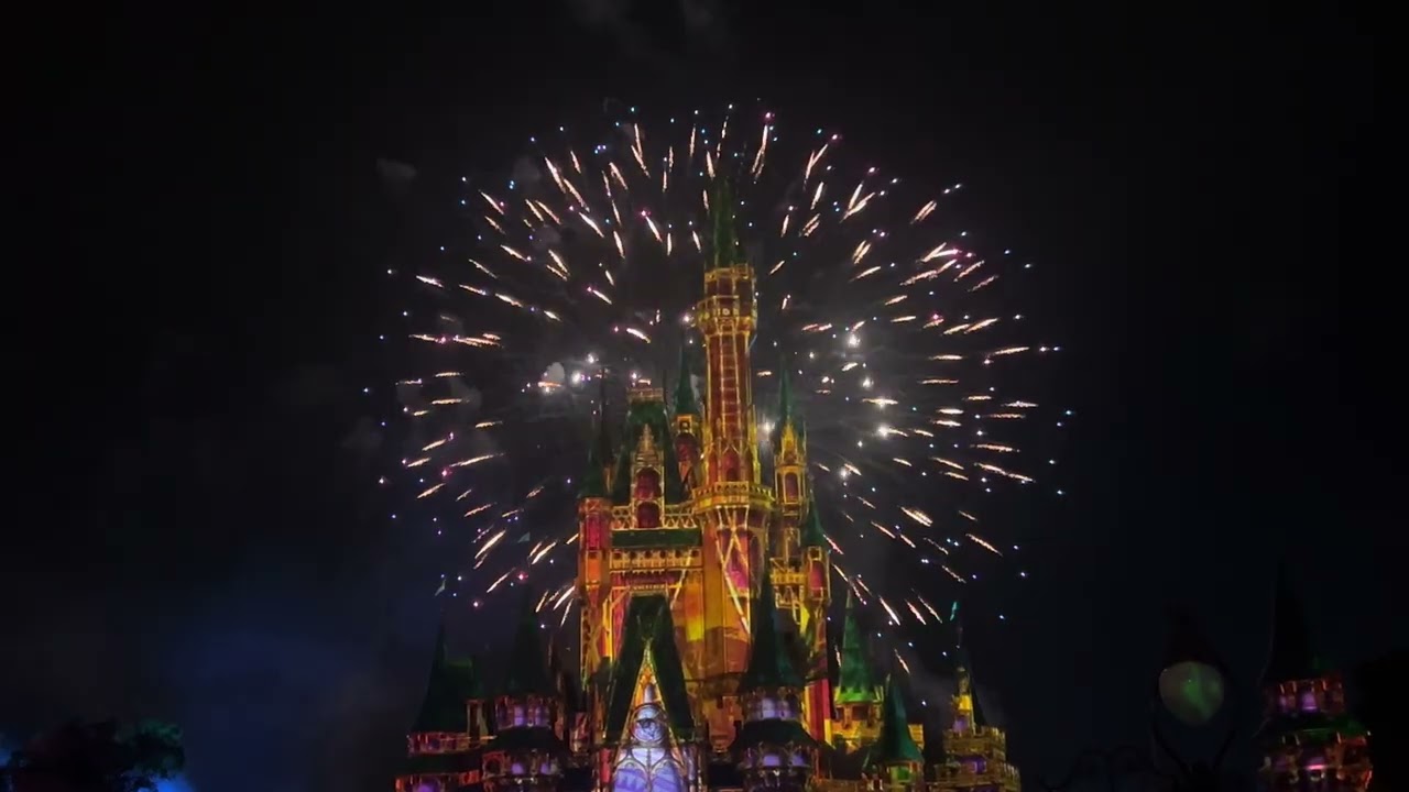 Mind Blowing Fireworks at #orlando #disney #magickingdom #fireworks 