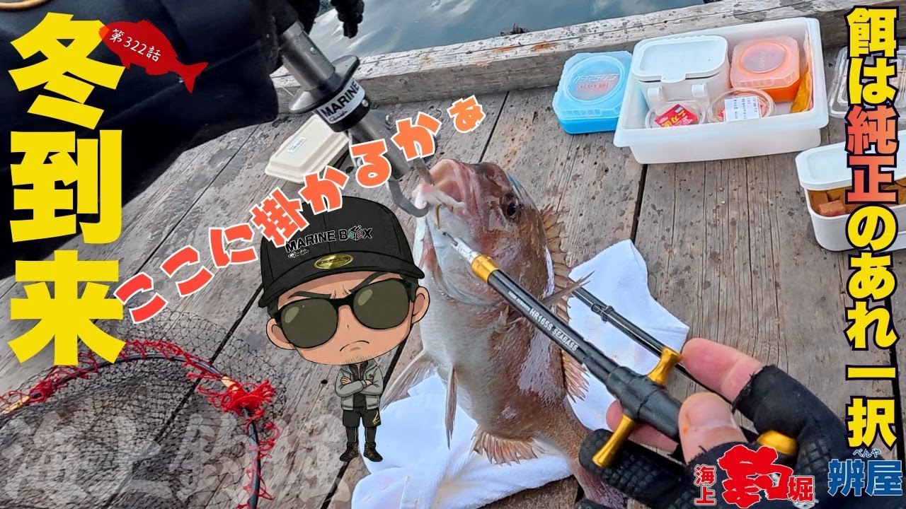 【海上釣堀】放流タイムで真鯛が連発！冬の渋い時期に効く純正のあれ？