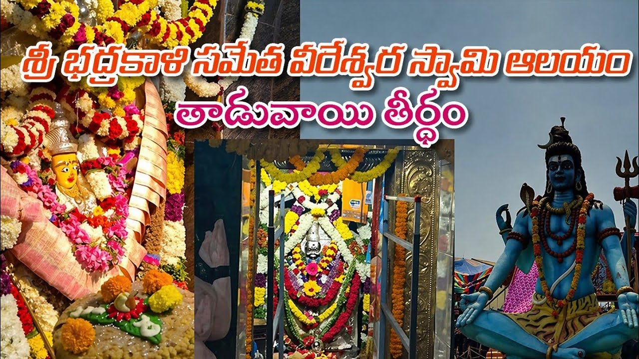 11వ శతాబ్దం నాటి గుడి||స్వయంభూ భద్రకాళి సమేత వీరేశ్వర స్వామి ఆలయం||తాడువాయి||తీర్థం||టెంపుల్ స్టోరీ.