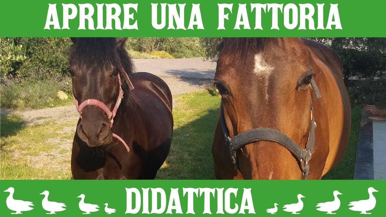 Amici per la Coda-Vuoi aprire una Fattoria Didattica?