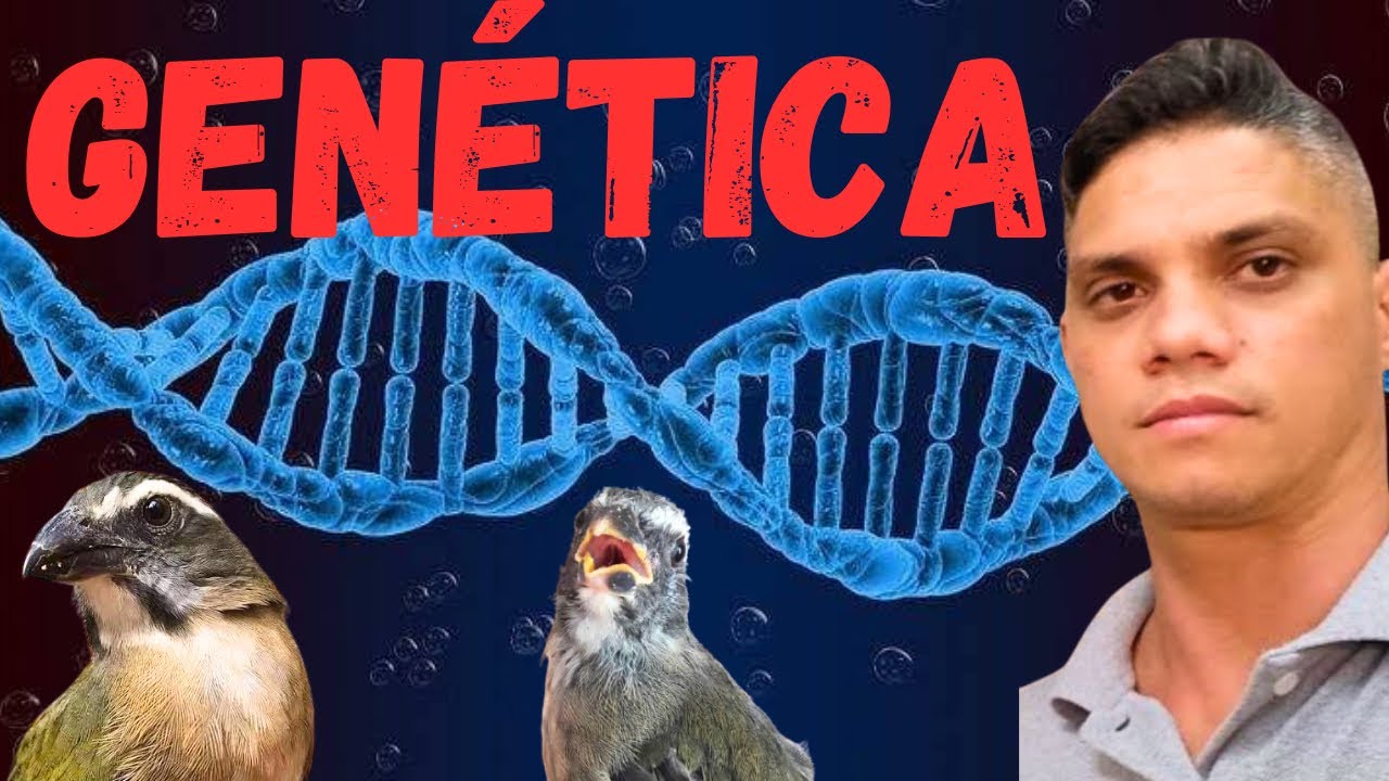 GENÉTICA DE TRINCA FERRO