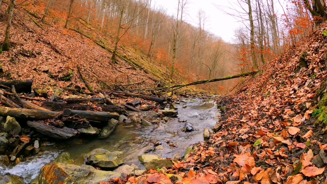 RELAX WITH NATURE || RELAXING VIDEOS||NATURE VIDEOS #soulrelaxation #soulcalmness #relaxwithnature