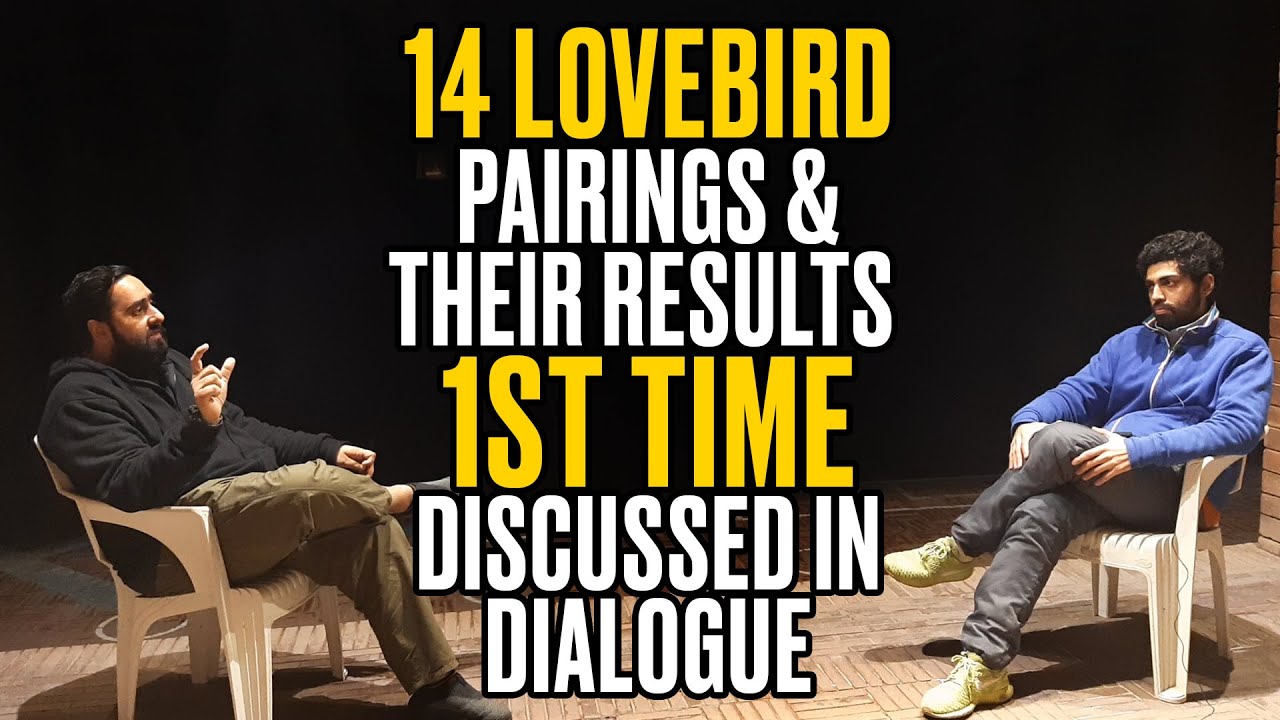 14 Lovebird Pairings & Their Results 1st Time Discussed In Dialogue