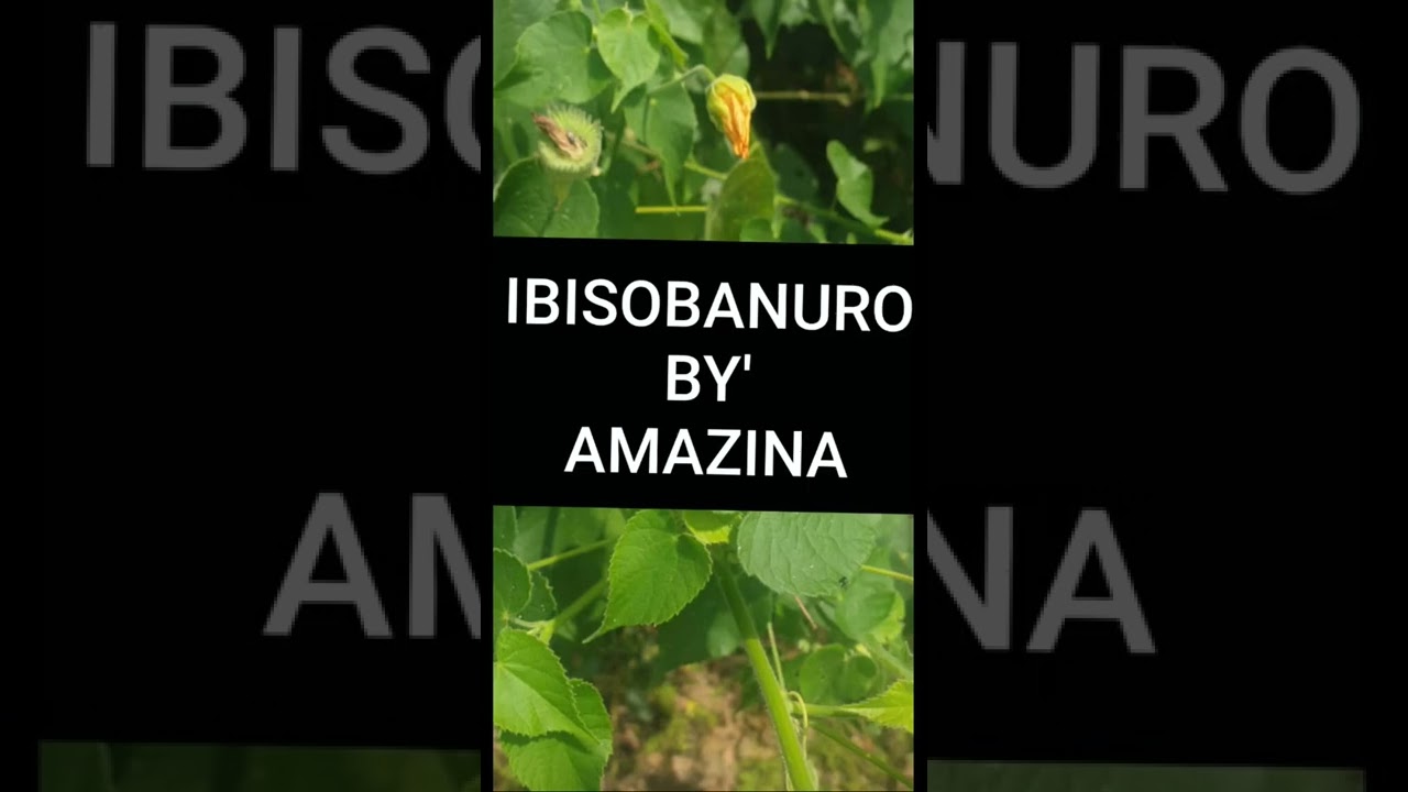 IGISOBANURO CY'IZINA RYAWE MU KINYARWANDA