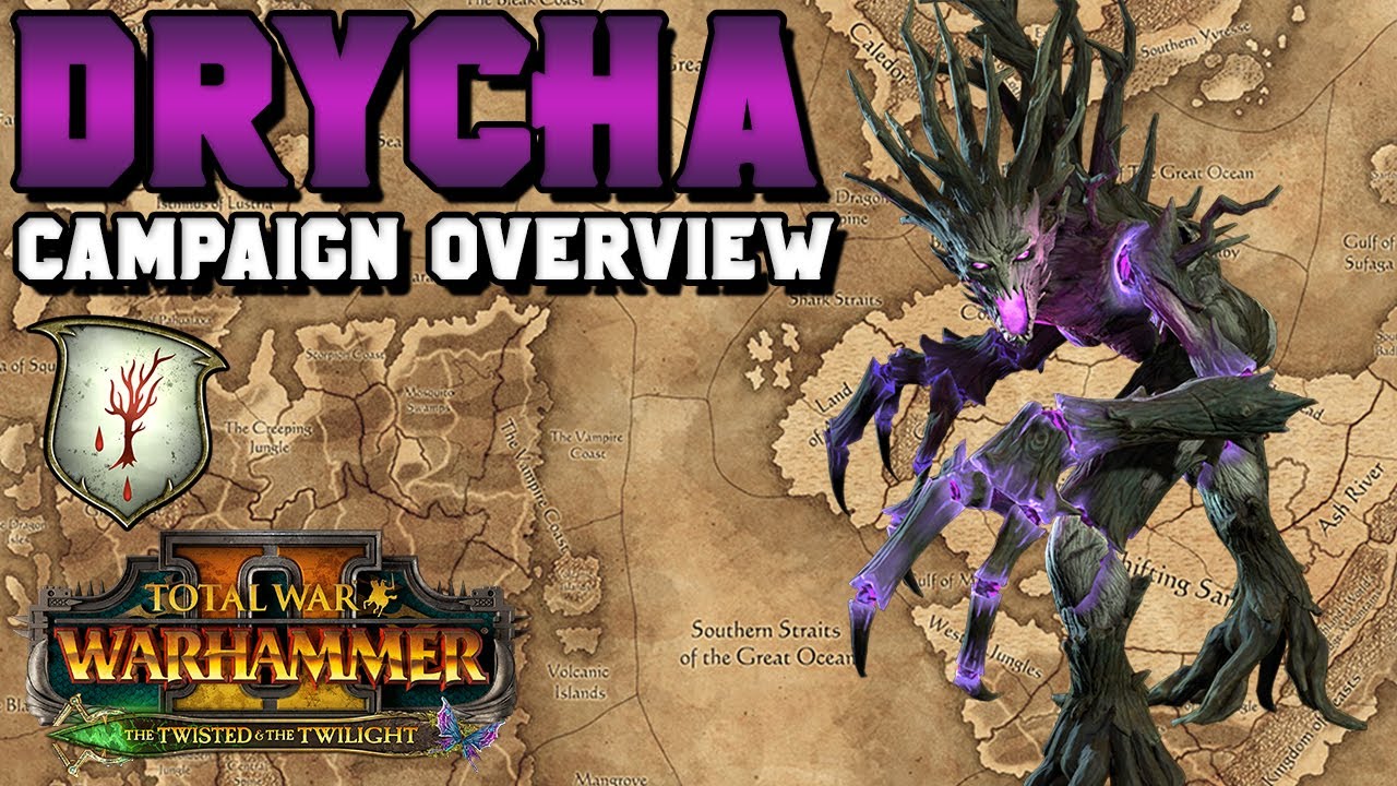 Drycha REVEAL Campaign Summary: Is It Right For You? | The Twisted & The Twilight