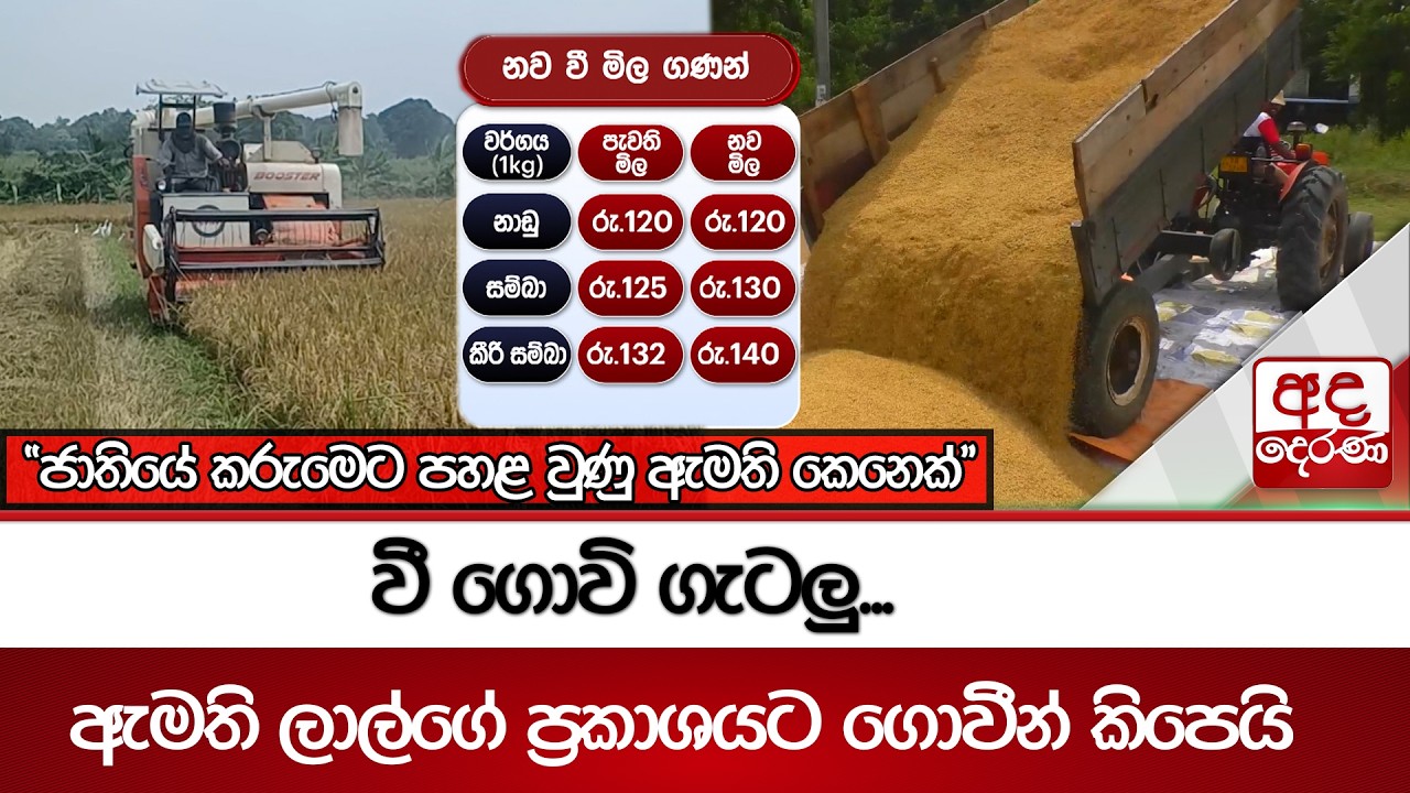 වී ගොවි ගැටලු...ඇමති ලාල්ගේ ප්‍රකාශයට ගොවීන් කිපෙයි - 