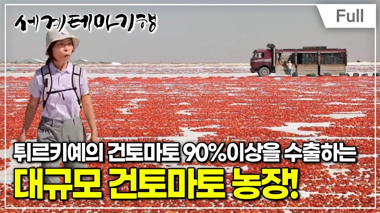 [Full] 세계테마기행 - 맛있는 튀르키예3- 붉게 익다, 아다나의 토마토