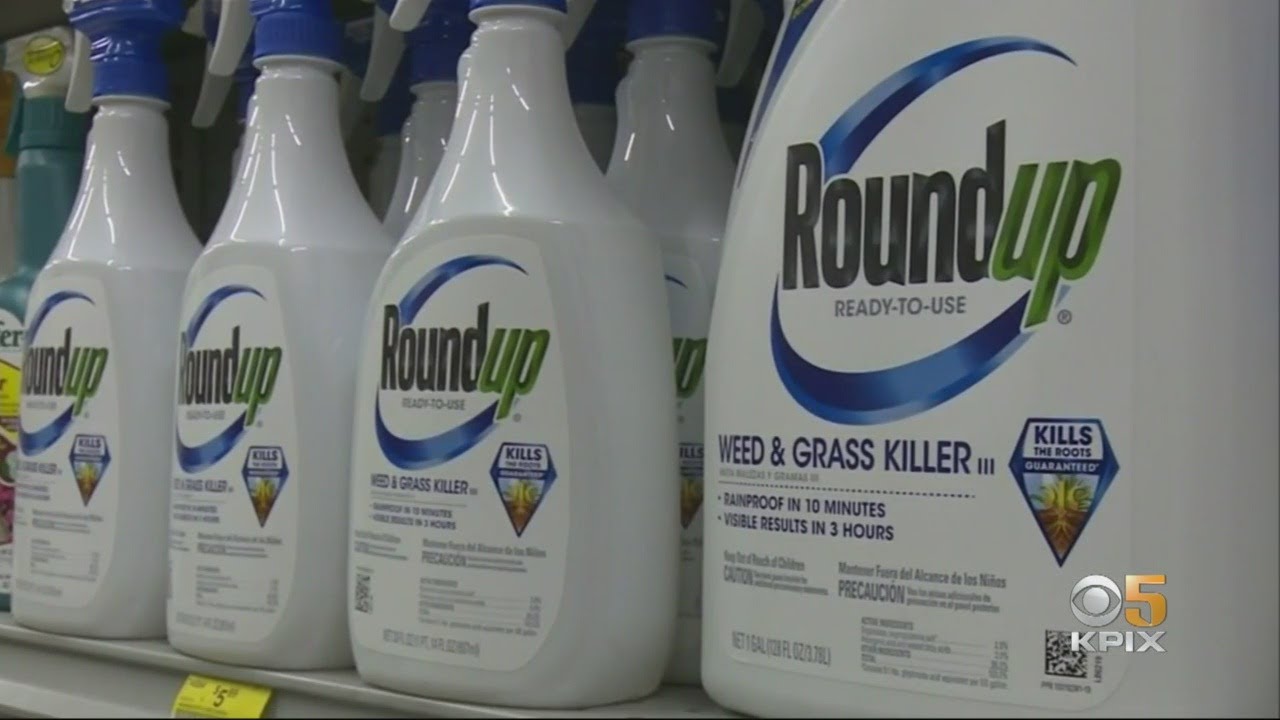 East Bay School District Bans Chemical Found In Roundup Weed Killer