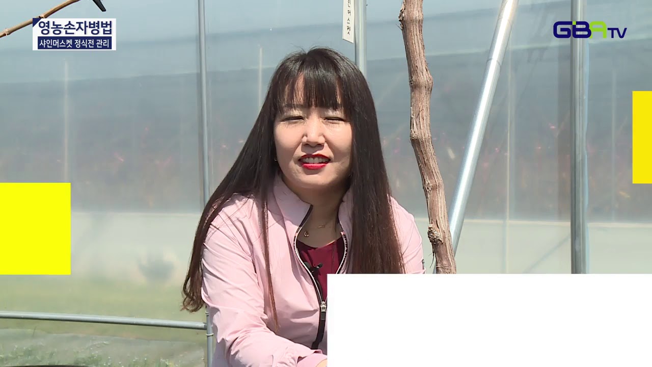 샤인머스켓재배방법