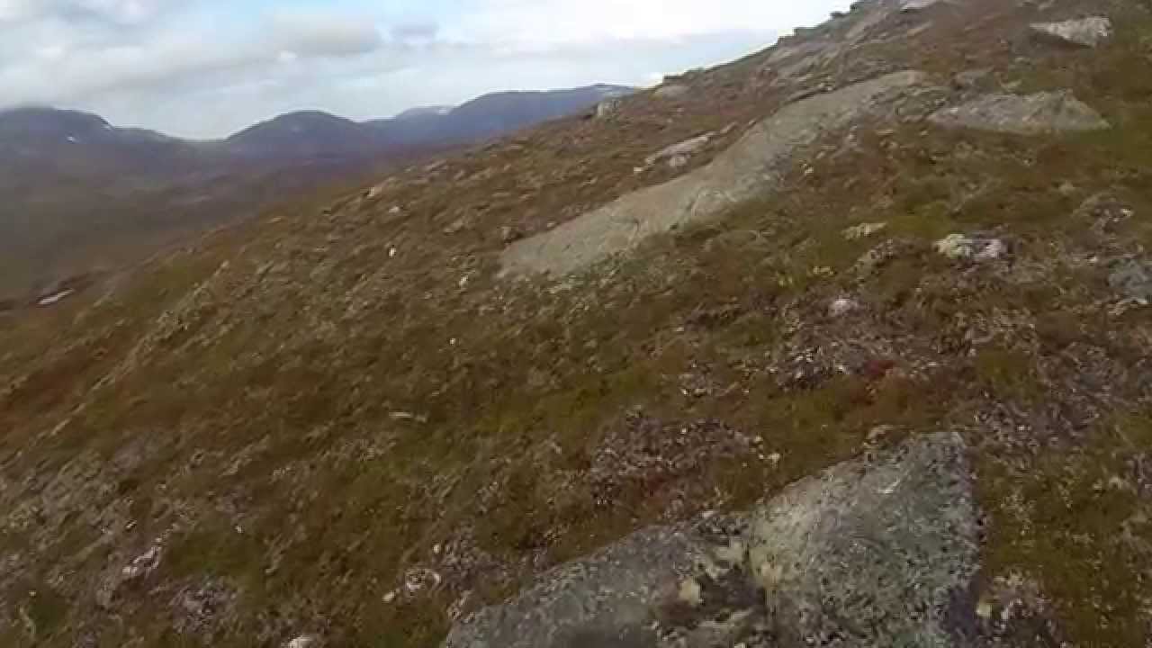 Rypejakta 2014
