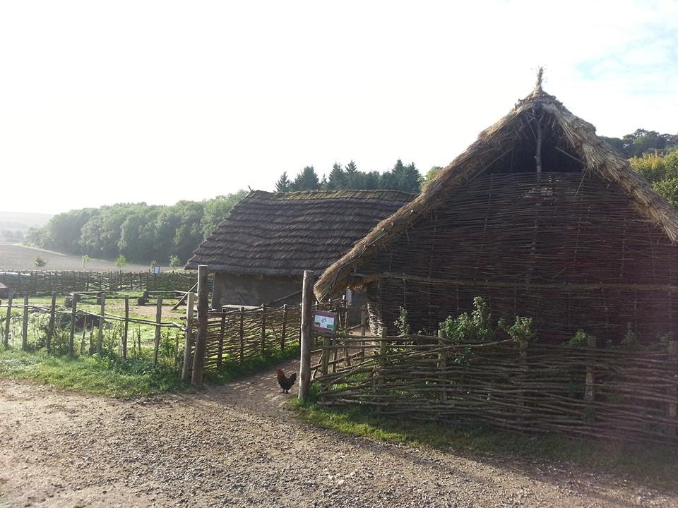 What do visitors learn at Butser Ancient Farm? - Part 2
