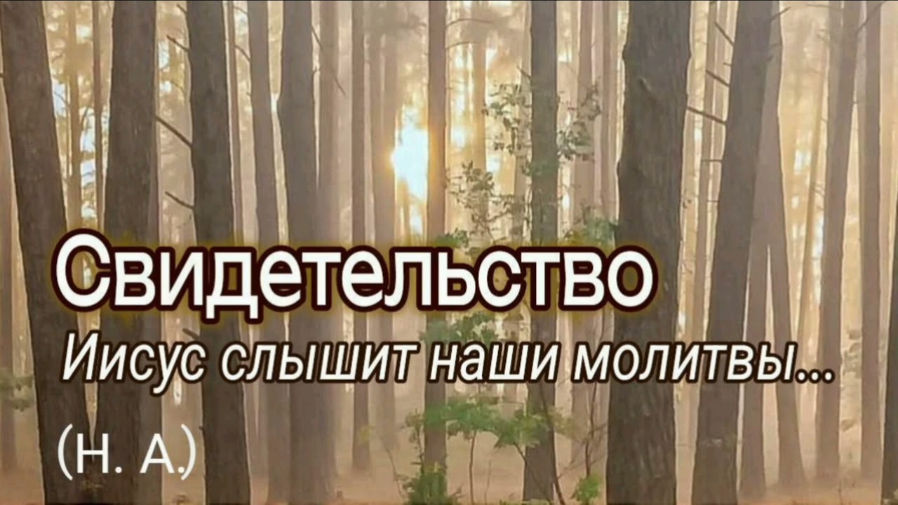 Свидетельство брата