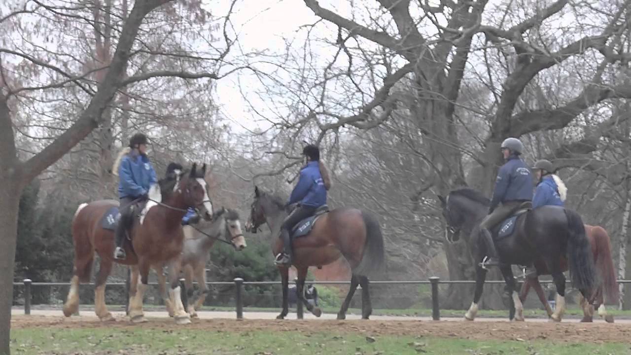 Horse Riding Hyde Park London