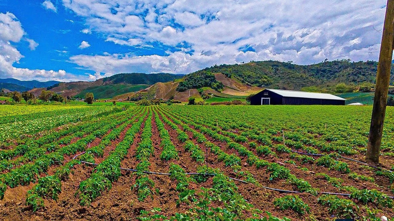 “la Suiza del Caribe” y “Valle Encantado“.unos de los lugares de mayor producción agrícola del país