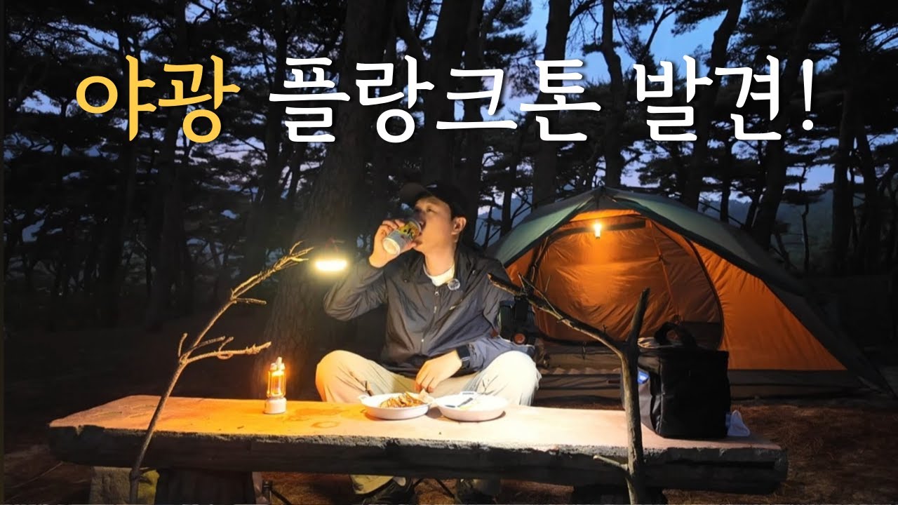 한국에도 야광 플랑크톤이 있네요 | 파도속에서 신비한 불빛