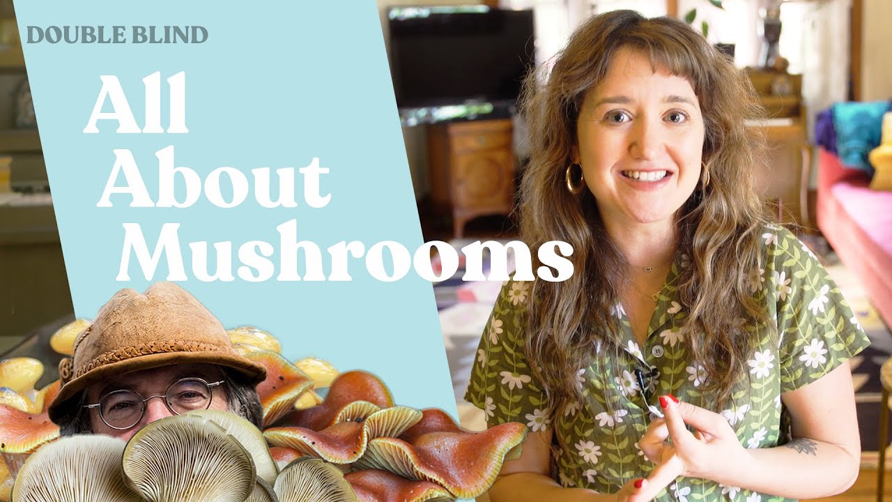 Mushrooms! 🍄 | DoubleBlind