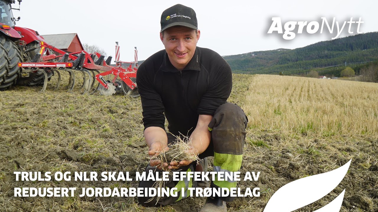 Hva er effektene av redusert jordarbeiding i Trøndelag?