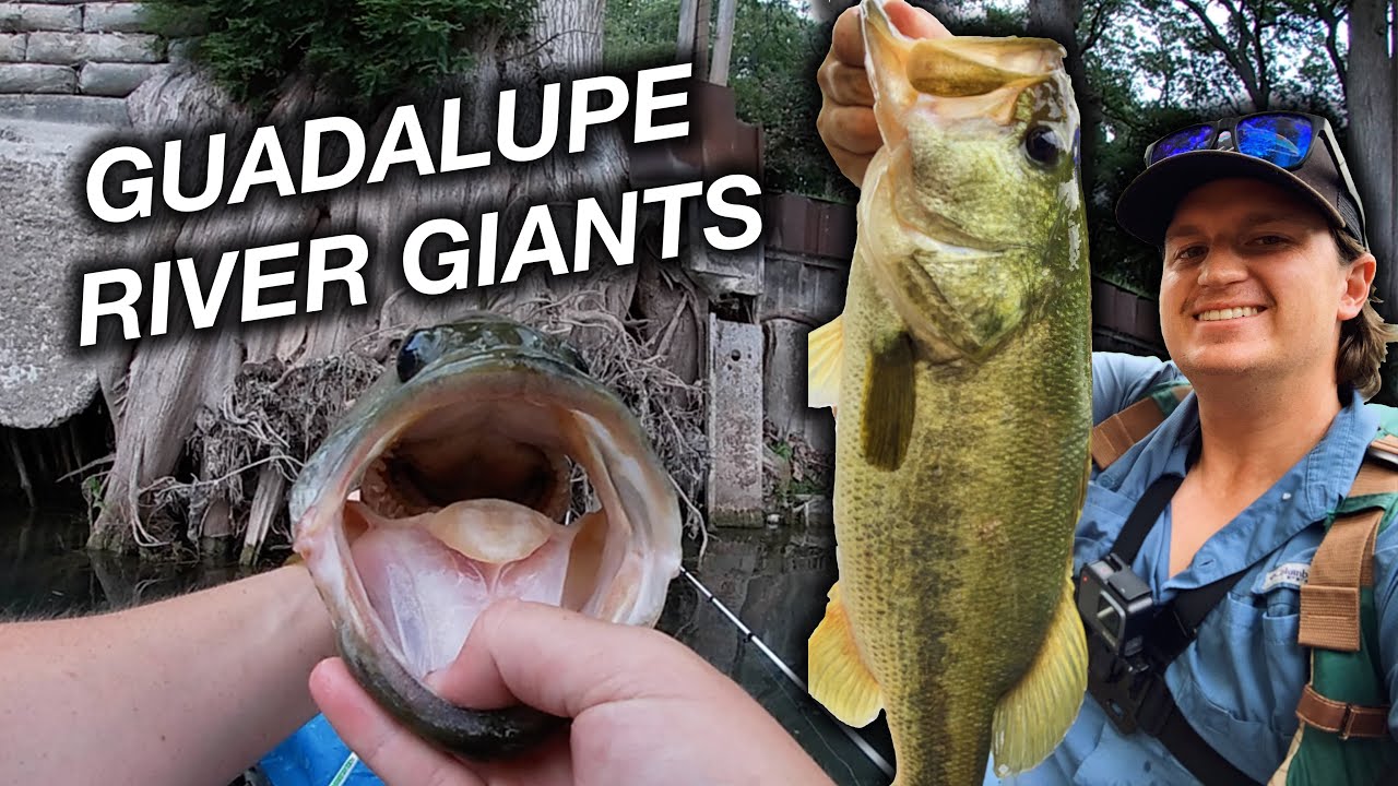 GUADALUPE RIVER FISHING (Big Texas Bass!)