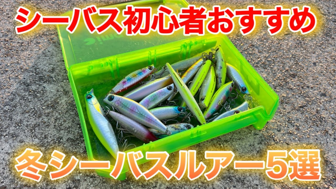 【シーバス釣り】初心者におすすめの冬ルアー5選